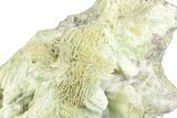 Green, Bladed Prehnite Crystals with Quartz - Morocco #255523-2